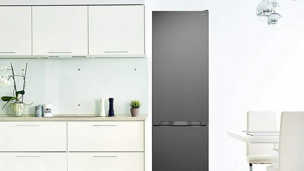 Sharp SJ-BB05DTXLF Ψυγειοκαταψύκτης 288lt Υ180xΠ54xΒ59.5cm Inox: Πρακτική συσκευή